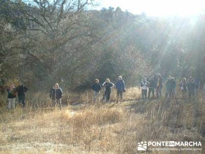 Cañón del Río Dulce y Sigüenza; caminatas por madrid; excursiones de un día desde madrid